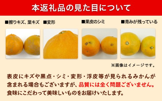 みかん 超訳あり早生みかん 約5kg 《12月上旬-2月上旬頃出荷》 和歌山県 日高川町 みかん ミカン 早生みかん 蜜柑 柑橘 訳あり 果物 くだもの フルーツ 青果物