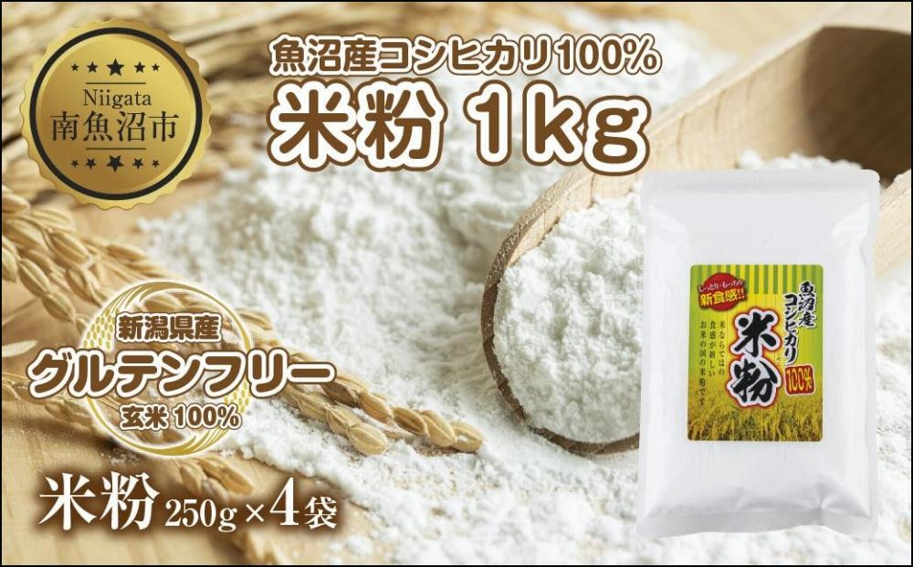 
ES480 米粉 250g×4袋 計1kg 魚沼産 コシヒカリ 白米粉 アレルギー グルテンフリー 小麦粉不使用 お取り寄せ 製菓材料 パン作り 製菓 送料無料 コパフーズ 新潟県 南魚沼市
