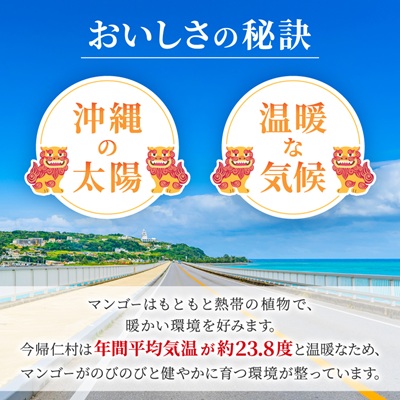【2026年8月中旬から順次発送】今帰仁産の幻のキーツマンゴー1.5kg(2〜3玉)【配送不可地域：離島】【4014739】