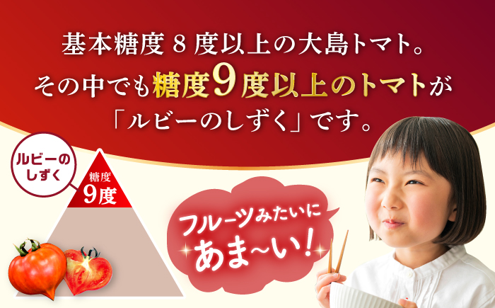 【2025年収穫分先行予約】【 訳あり 】 大島トマト 特選「ルビーのしずく」約1.2kg【数量限定】＜大島造船所 農産グループ＞ [CCK025]