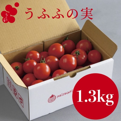【産地直送】トマト(約1.3kg) 箱 うふふの実 高糖度フルーツトマト　アイメック【常温】【配送不可地域：離島・北海道・沖縄県】