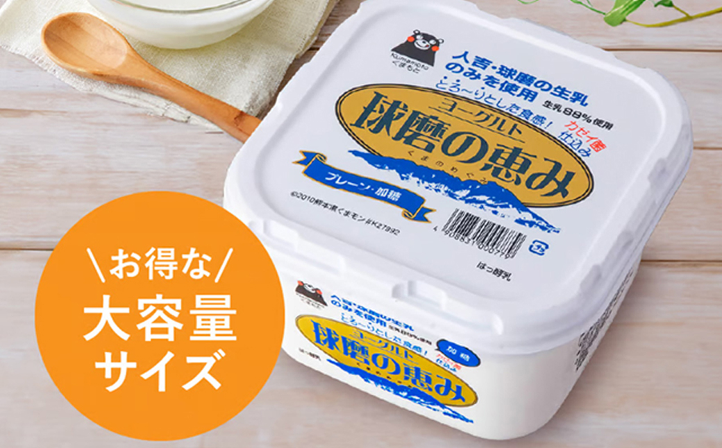 球磨の恵み ヨーグルト (加糖) 1kg×6パック 計6kg