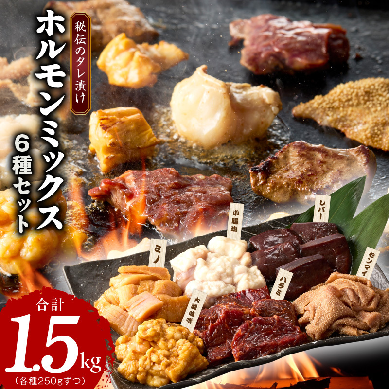 ホルモンミックス 6種セット 合計 1.5kg 秘伝のタレ漬け【食べ比べ 250g×6種 小分け 焼肉 牛肉 ハラミ ミノ センマイ レバー 小腸 大腸 】 G1785