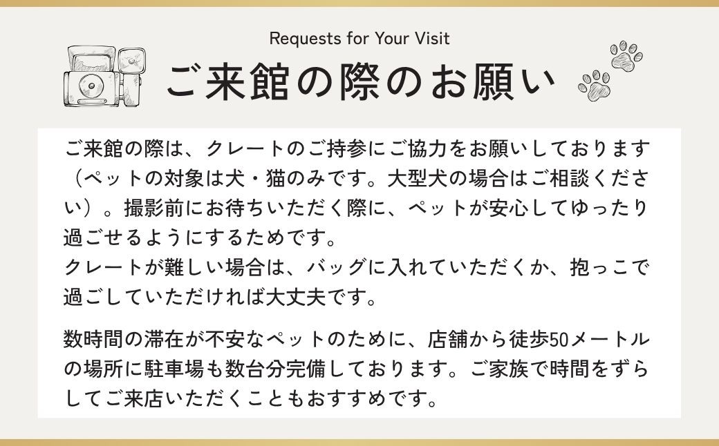 ペット撮影 プレミアムフォト撮影チケット | ペット撮影 ペット ペットフォト ペット写真 ペット撮影 ペット ペットフォト