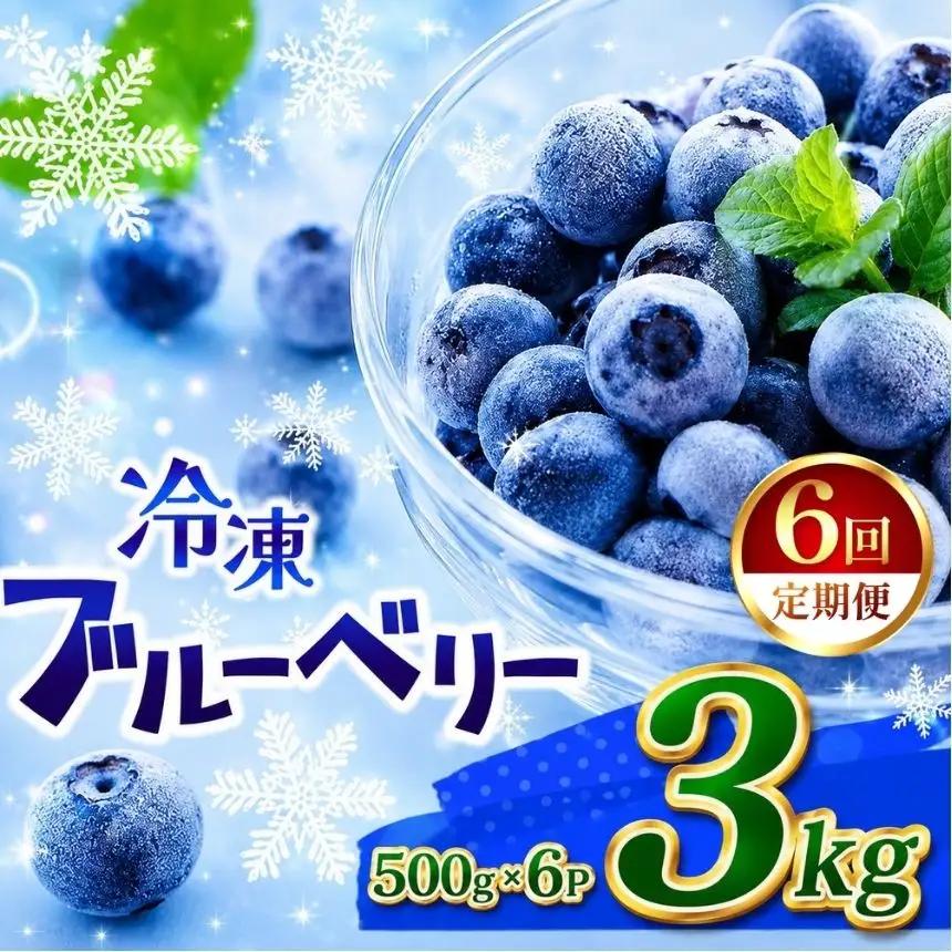 【定期6回】完熟冷凍ブルーベリー 約 3kg