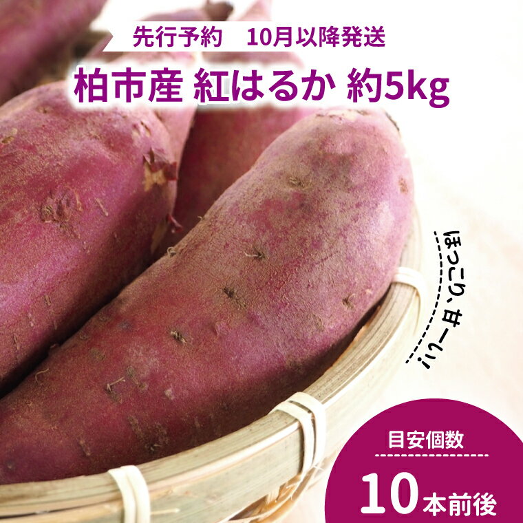 【ふるさと納税】 さつまいも 紅はるか 5kg 野菜 国産 旬 千葉県産 柏市産 おいしい 甘い さつま芋 さつまイモ いも サツマイモ スイートポテト お菓子 秋 新鮮 おすすめ 大量 産地直送