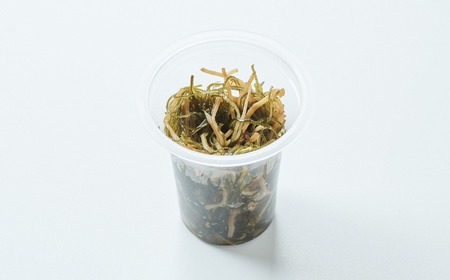 【今日の逸品】けせんの海 一膳 特製松前漬 70g×1個 【 ご飯のお供 おつまみ カップ 小分け 海鮮 】