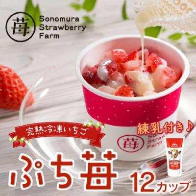 ふるさと納税 宇土市 熊本県宇土産 完熟冷凍いちご「ぷち苺」12カップ 練乳付き 園村苺園