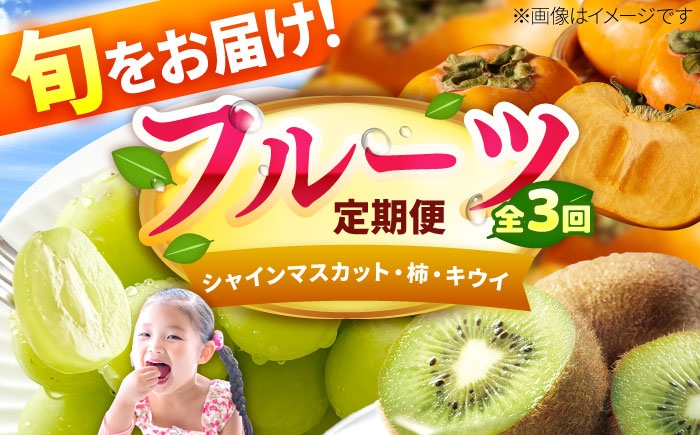 
                  フルーツ定期便【3回定期便】（シャインマスカット/柿/キウイ） 果物 くだもの ふるーつ フルーツ 柿 かき カキ 秋王 あきおう きうい キウイフルーツ 博多甘うぃ シャインマスカット しゃいんますかっと ますかっと デザート すいーつ スイーツ 定期 定期便 旬 kaki shinemuscat kiwi fruit 広川町 / JAふくおか八女農産物直売所どろや [AFAB091]
                
