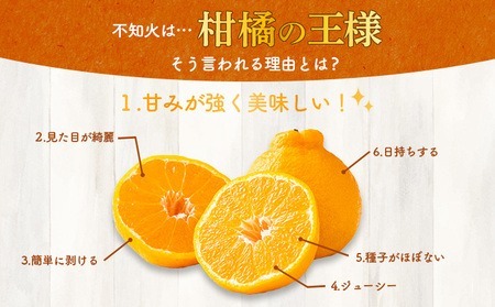 訳ありデコポン 3kg |  デコポン岡村農園 追熟デコポン 室戸産デコポン