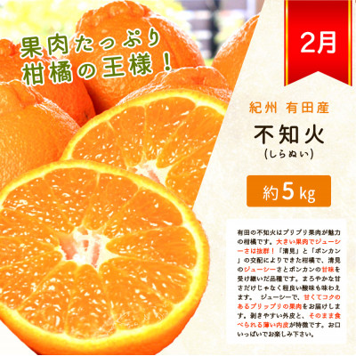 【発送月固定定期便】紀州和歌山産旬のフルーツセット(みかん・不知火・レモン・清見)全4回
