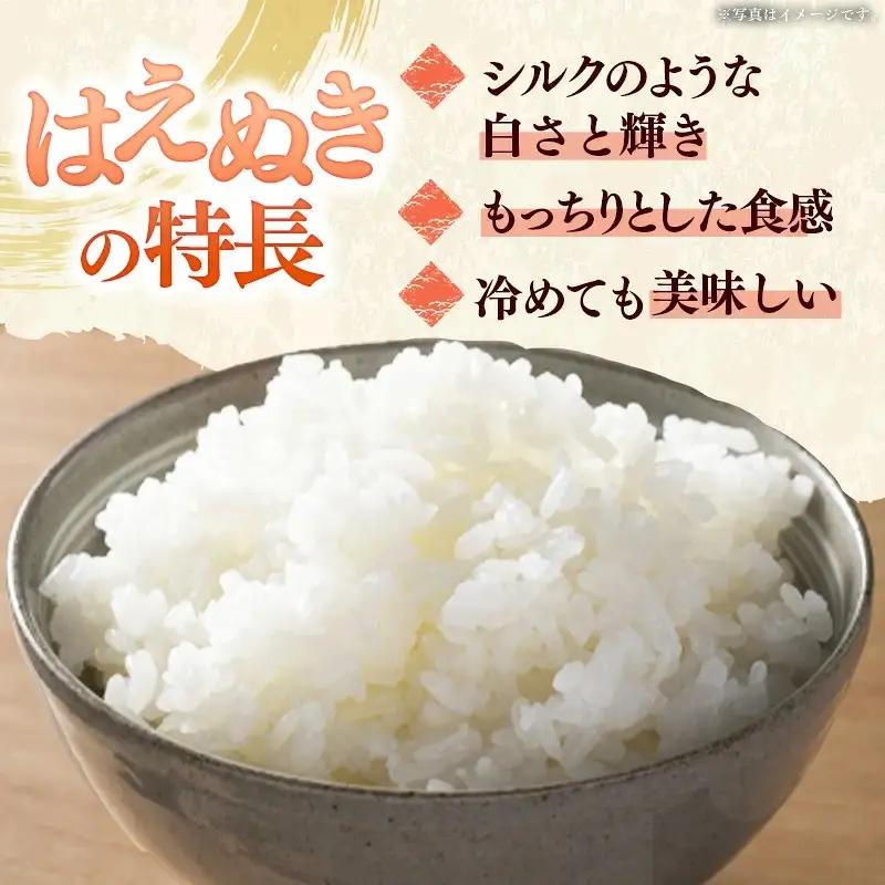 飯豊町産 はえぬき 玄米 30kg 令和7年産 おこめ ごはん  銘柄 ブランド米 山形県 飯豊町