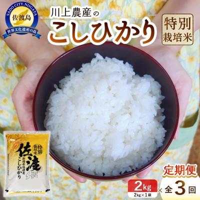 ふるさと納税 佐渡市 【毎月定期便】佐渡 川上農産のコシヒカリ(精米2kg)全3回