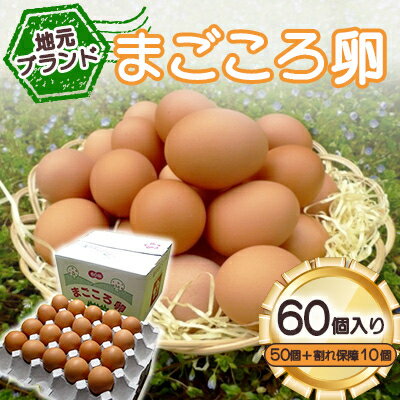 【ふるさと納税】「地元ブランド」まごころ卵60個入り(卵50個と割れ保障10個) 鶏卵(生食用)_ まごころ卵 卵 たまご 鶏卵 生卵 生食用 地元ブランド 国産 美味しい 人気 おすすめ 送料無料【1008774】
