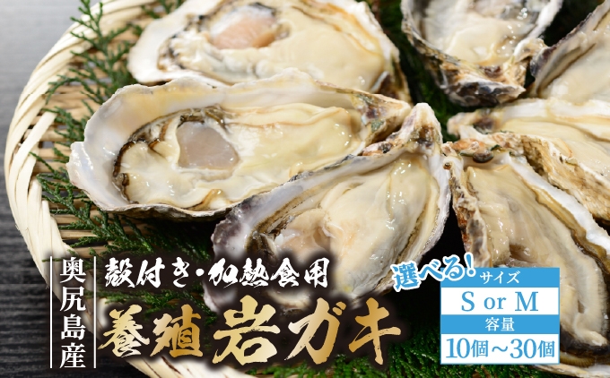 
                  【先行予約 2026年7月20日頃より発送】奥尻島産 養殖岩ガキ 殻付き（加熱食用）～豊かな海が育てた海の宝石～【選べるサイズ】S・M　【選べる個数】10個～30個 | 北海道 奥尻町 送料無料 OKS13-001-005
                