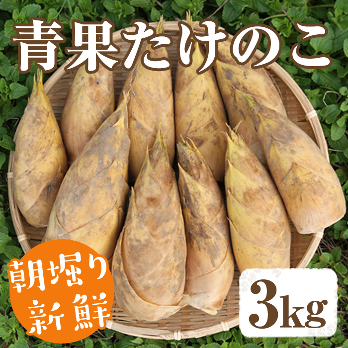 ＜先行予約受付中！2027年2月下旬以降順次発送予定＞ 【平日着】朝堀り青果たけのこ(約3kg) 国産 新鮮 タケノコ 青果 竹の子 筍 野菜 春 旬 期間限定 数量限定 【上野食品】akn008-19-A