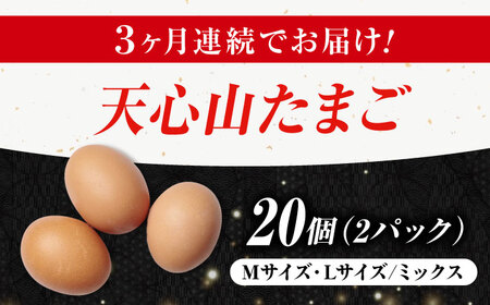【全3回定期便】天心山 たまご20個（10個入り×2パック） 卵 たまご 高級 食品 たまごかけご飯 卵かけご飯 卵焼き 生卵 濃厚 ケーキ お菓子 づくり ランキング 上位 人気 おすすめ 定期便　