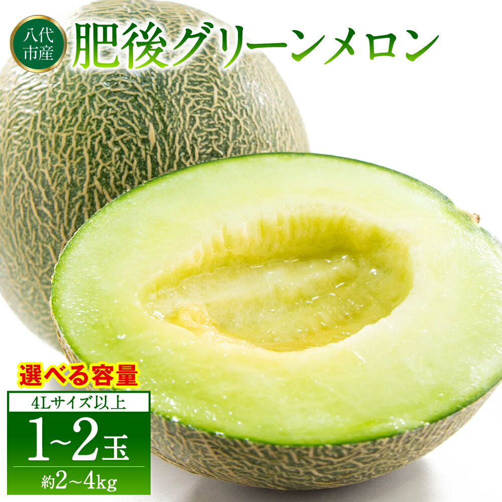 【ふるさと納税】【先行予約】肥後グリーンメロン 熊本県 八代市産 【選べる内容量】 4L以上 1玉～2玉（約2kg～4kg）青肉メロン 果物 くだもの フルーツ メロン 肥後グリーン 熊本メロン ジューシー 旬 お取り寄せ 贈り物 ギフト 送料無料 【2026年6月上旬より順次発送】