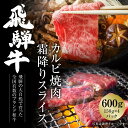 【ふるさと納税】飛騨牛 カルビ(焼肉)・霜降りスライス 600g（150g×各2パック） 冷凍真空パック | 肉 お肉 焼肉 焼き肉 やきにく すき焼き すきやき しゃぶしゃぶ 黒毛和牛 和牛 個包装 小分け 人気 おすすめ 牛肉 ギフト 7日以内お届け 飛騨高山ミート [S845]