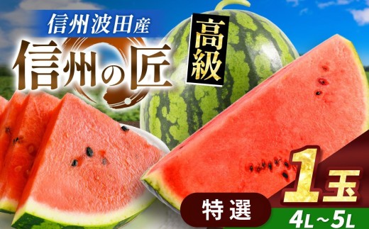 【先行受付】信州波田産 高級スイカ！信州の匠 【特選】 4L～5Lサイズ 1玉｜ふるさと納税 長野県 信州 松本 果物 フルーツ すいか スイカ 西瓜 新鮮 大きい 特別 贈答 季節限定 甘い くだもの ふるーつ