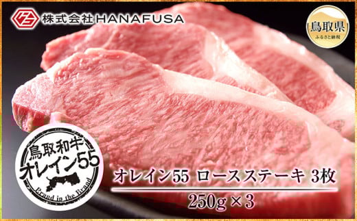 E24-018 鳥取和牛オレイン55ロースステーキ