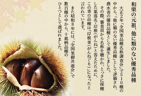 がんね栗衛門G ミニ 10個入 がんね栗の栗きんとん 無添加【がんね栗の里】