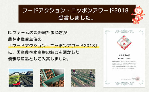 【訳あり】小さな淡路島たまねぎ 2Sサイズ 10kg　 [玉ねぎ 玉ねぎ 玉ねぎ 玉ねぎ 玉ねぎ 訳あり 訳あり 訳あり]