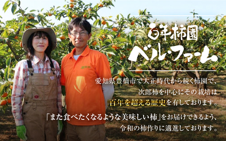皇室献上品 次郎柿 使用 豊橋ではこれが柿ピー 百年柿園 ベル・ファーム 産地直送 生産者直送 農家直送 高糖度 愛知県 豊橋市 送料無料 14000円