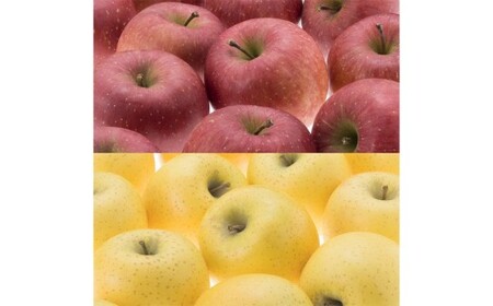 二戸産りんご サンふじ＆シナノゴールド 約3kg (9～11玉) ／りんご リンゴ 林檎 フルーツ 果物 旬 お取り寄せ 食べ比べ  【2025年12月発送予定】