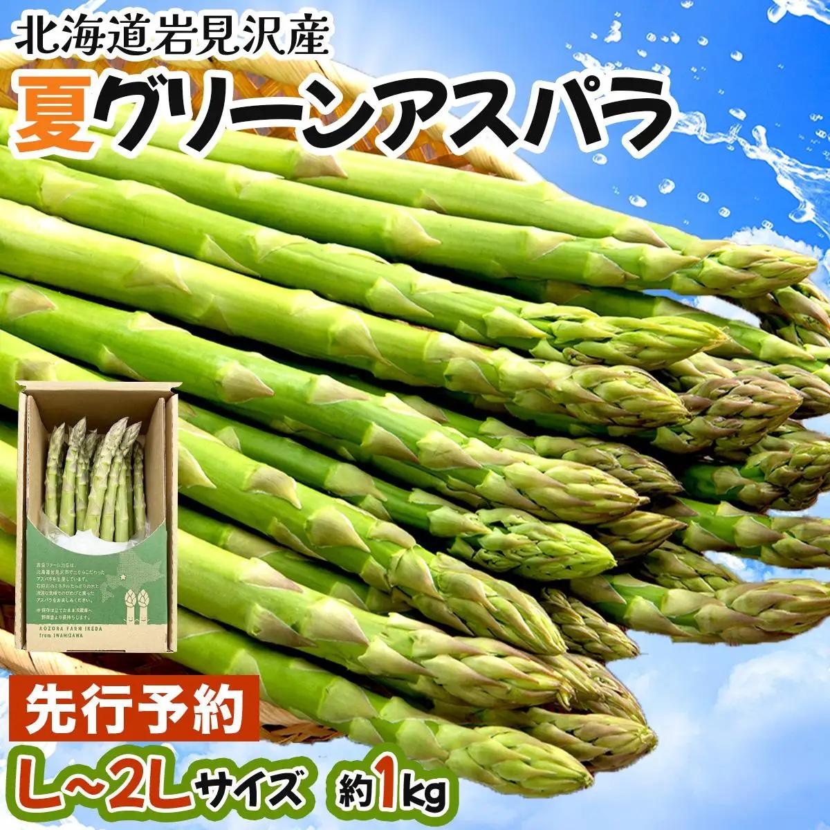 【令和8年産】北海道岩見沢産 夏グリーンアスパラ L～2Lサイズ 1kg【41104】