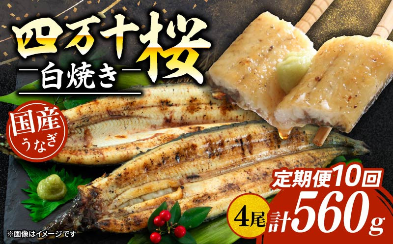 
            【贈答用】【10回定期便】極上国産うなぎ四万十桜 白焼き約140g×4尾 | うなぎ 鰻 ウナギ 白焼き 定期便 国産 四万十鰻 ウナギ 蒲焼き 調理済み タレ付き 頒布会 ギフト（お歳暮/お正月）高級 お取り寄せ グルメ 食べ比べ 冷凍
          