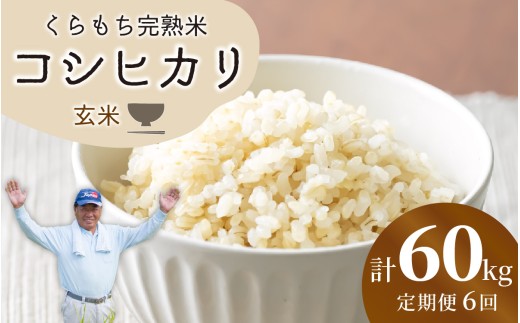 【先行予約】【令和8年産 新米】【6ヶ月定期便】くらもち完熟米 コシヒカリ （玄米）10kg（5kg×2袋）×6回　計60kg