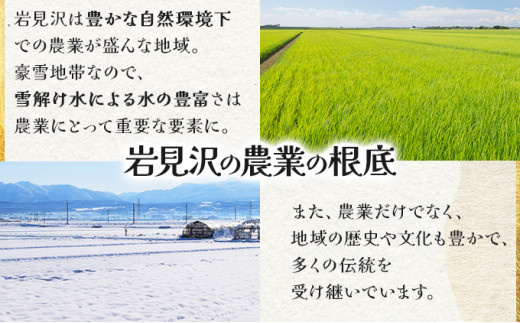 ＜令和8年産＞お米 おぼろづき 20kg｜『100%自家生産精米』善生さんの自慢の米 北海道 岩見沢市 精米 白米 新米【a104-113】【06135】 20kg