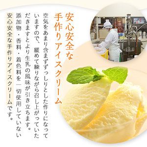 【業務用】稚内牛乳アイスクリーム2000mlバニラ×宗谷の塩2個セット【配送不可地域：離島】【1327583】