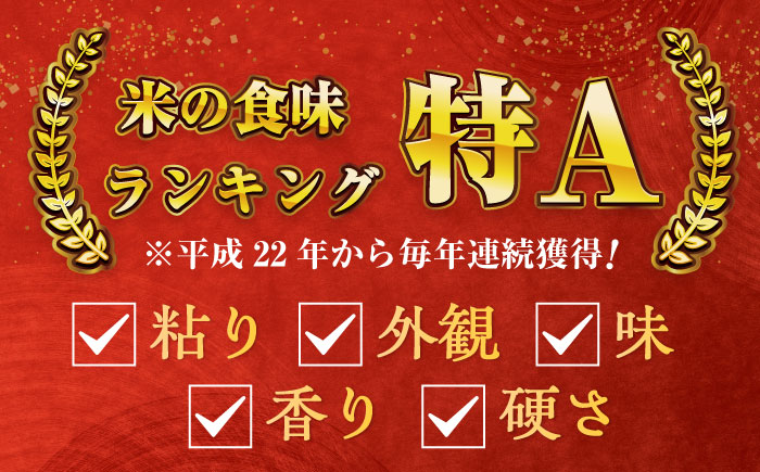 令和7年産 ななしま家 さがびより5kg×2袋 / 白米 米 特別栽培 / 佐賀県 / 有限会社七島農産 [41AHAC004]