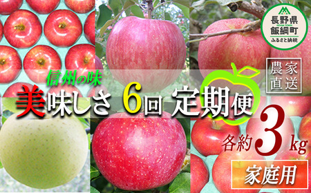 旬のりんご 【 定期便 】 家庭用 3kg × 6回 ヤマウラ農園 沖縄県への配送不可 2026年8月中旬頃から2026年12月上旬頃まで順次発送予定 令和8年度収穫分 信州 果物 フルーツ リンゴ 林檎 長野 予約 農家直送 長野県 飯綱町 [1589]