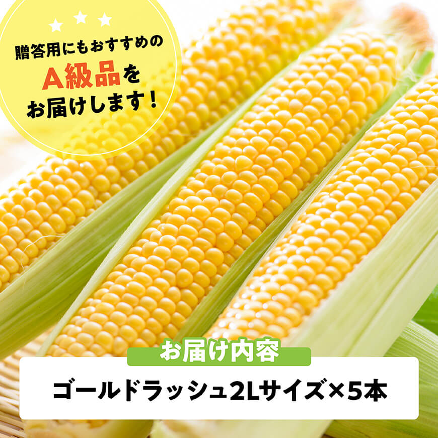 【令和8年発送】宮崎県産とうもろこし　スイートコーン「ゴールドラッシュ」2L×5本【新鮮 農家直送 トウモロコシ 産地直送 季節限定 期間限定 宮崎県産 九州産 野菜 】[C09109]