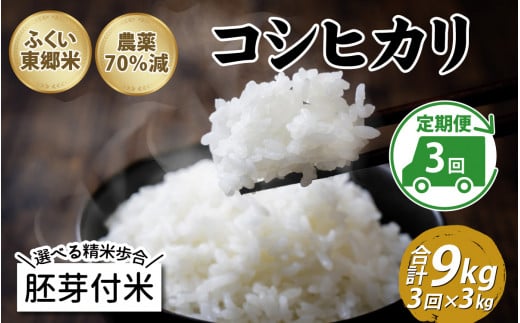 【先行予約】【定期便3ヶ月連続】令和7年産 ふくい東郷米 特別栽培米 農薬70％減 コシヒカリ 3kg×3ヶ月 合計9kg【胚芽付米】[B-020009_03]