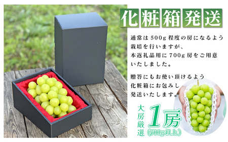 【2024年発送 先行受付】山梨県産シャインマスカット 700g以上(1房) ふるさと納税【配送不可地域：離島】【1272519】