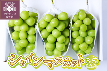 〈2026年度配送分〉シャインマスカット 3～5房(2.2kg以上) 〈KF-2〉