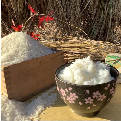 ふるさと納税 大子町 【新米先行予約】アミーゴ米 5kg(コシヒカリ・白米・天日干し)【11月中旬頃出荷】|茨城県 大子町 |  | 01