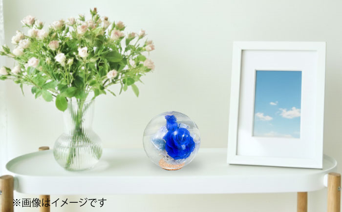 プリザーブドフラワー　ガラスドーム (青) / 花 プレゼント 贈答用 ガラス 母の日 父の日 入学式 卒業式 菊陽町 熊本県【株式会社 美向】 [BHDC002]