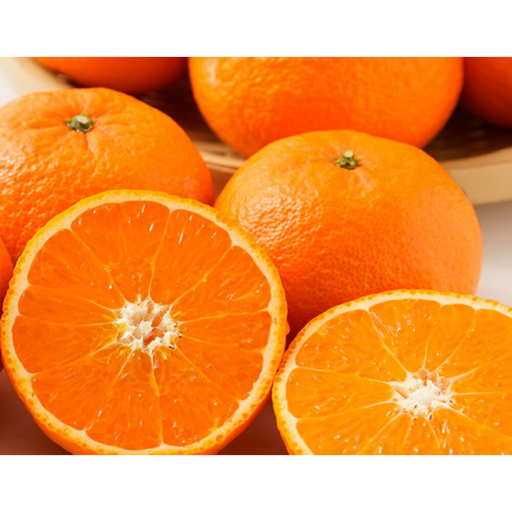 【ふるさと納税】【選べる容量】贈答用 森本農園の手選別 津の輝 約2～10kg 和歌山県産 L～2Lサイズ［北海道・沖縄・離島配送不可］ | みかん 蜜柑 フルーツ 果物 くだもの 食品 人気 おすすめ 送料無料