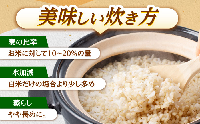 【3回定期便】押麦「長崎御島」 1kg×10袋 計10kg / 麦 むぎ 押麦 はだか麦 麦味噌 雑穀 雑穀米 食物繊維 小分け 長崎県産 米 こめ コメ ※ / 諫早市 / 有限会社伊東精麦 [AHBU010]