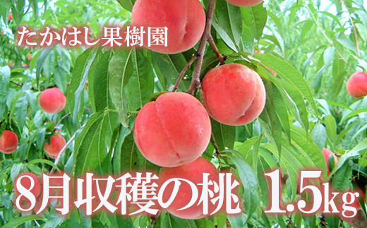 
            No.1905たかはし果樹園の桃　8月収穫 福島市産 白桃 品種 おまかせ (白鳳、あかつき、まどか、よさこい桃、川中島白桃、ゆうぞら ) 約1.5kg【2025年発送　先行予約】
          