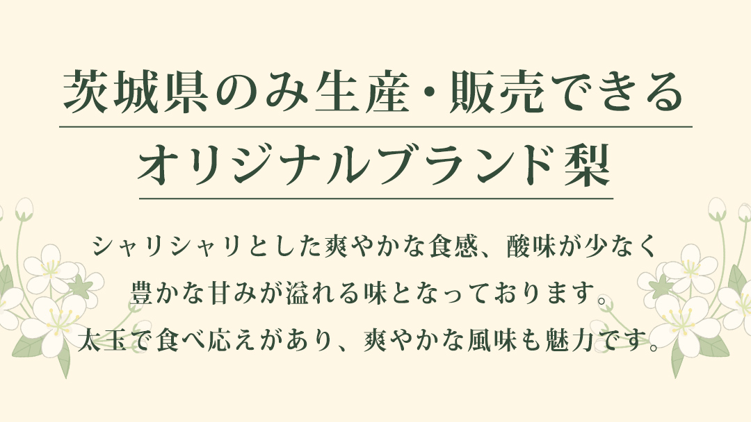 【2025年9月上旬発送開始】 茨城県 オリジナル 幻の 高級梨 『 恵水 』 約 3㎏ 5玉 ～ 7玉 【茨城県共通返礼品／常陸太田市】 桧山果樹園 [DU007sa]