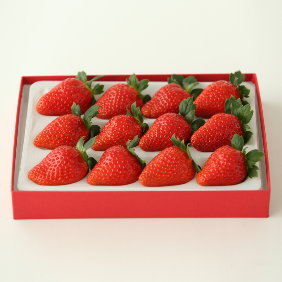 贈答用大粒いちご (まりひめ) 400g以上