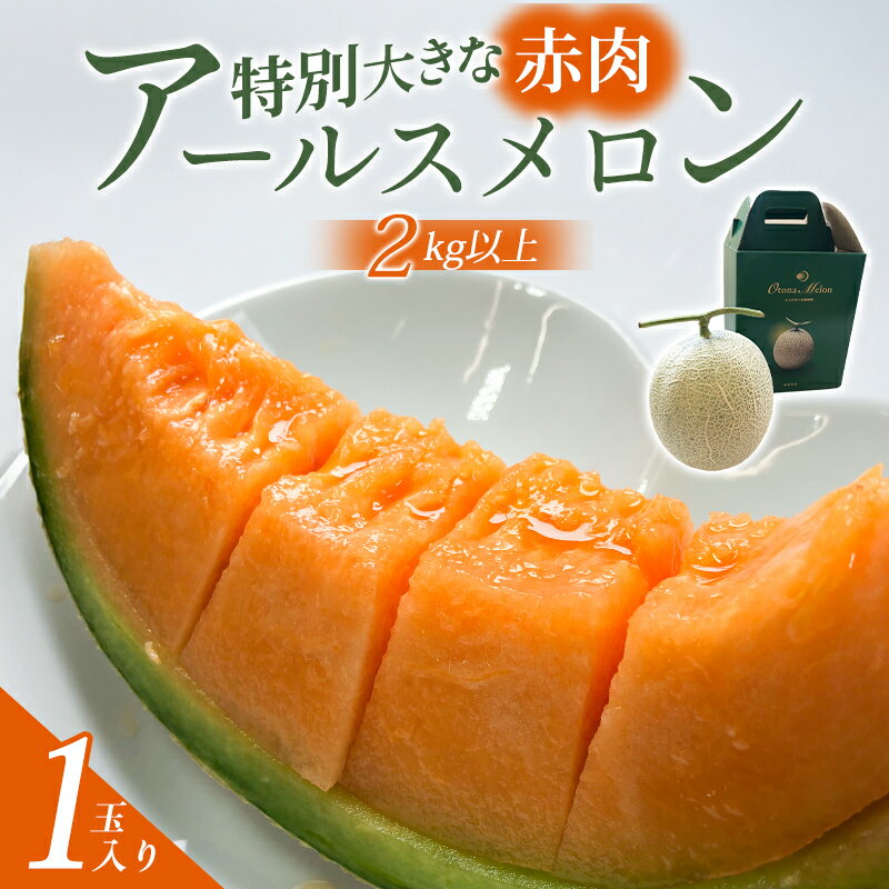 【ふるさと納税】 先行予約 アールスメロン 赤肉 1玉 2kg以上 果物 フルーツ メロン 季節限定 期間限定 特産品 お取り寄せ グルメ