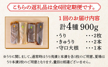 【全6回定期便】奈良漬 「琥珀漬」900g ご家庭用 詰め合わせ [ABAE026]