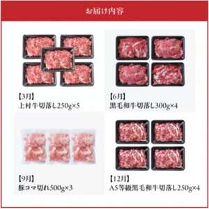 【発送月固定定期便】使い勝手抜群!牛＆豚切落し定期便(南九州市)全4回【配送不可地域：離島】【4081817】